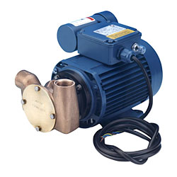 Fäkalienpumpe - Impellerpumpe - Jabsco 20 - Fördermenge 18 bis 20 l/min