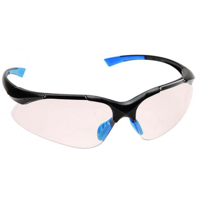 Schutzbrille getönte Gläser EAN 166 Sichtscheibe 1 F 